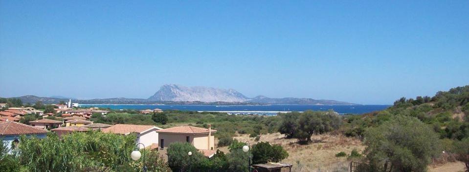 nonna antonietta - Housity