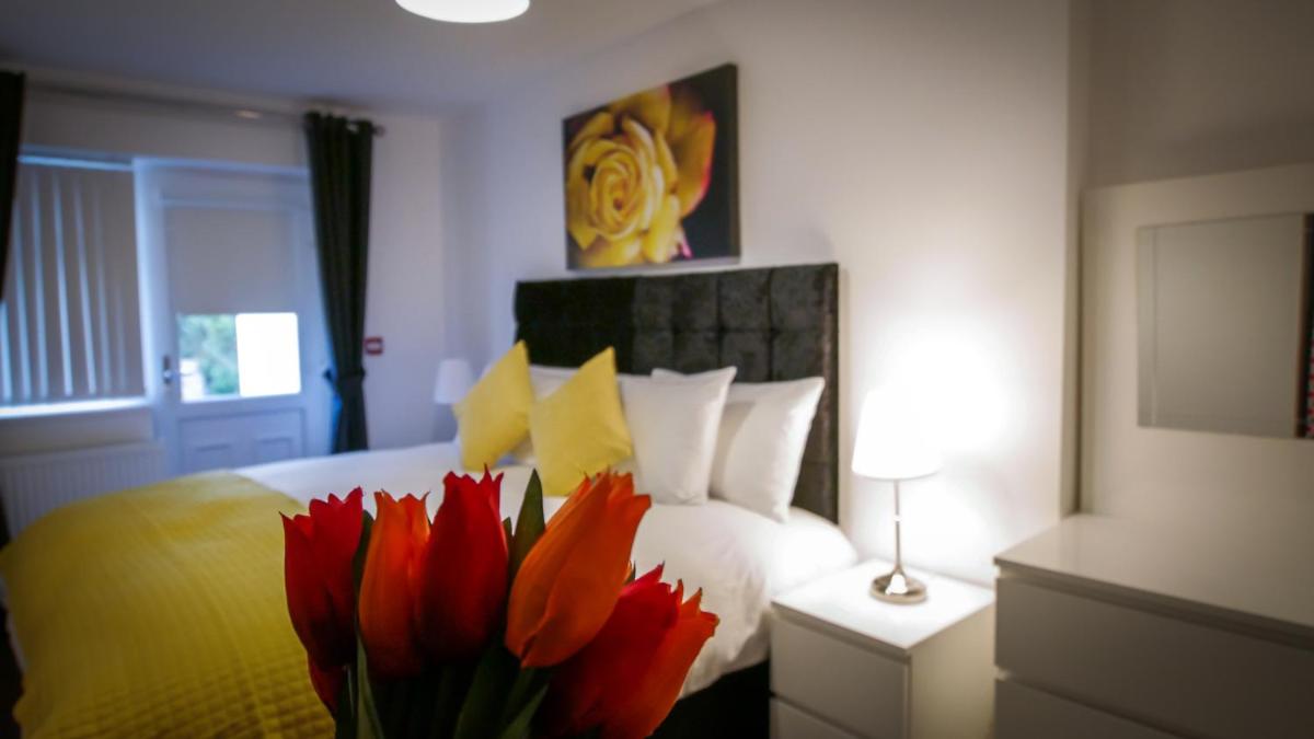 UR City Pad - Richmond Apartments - Housity