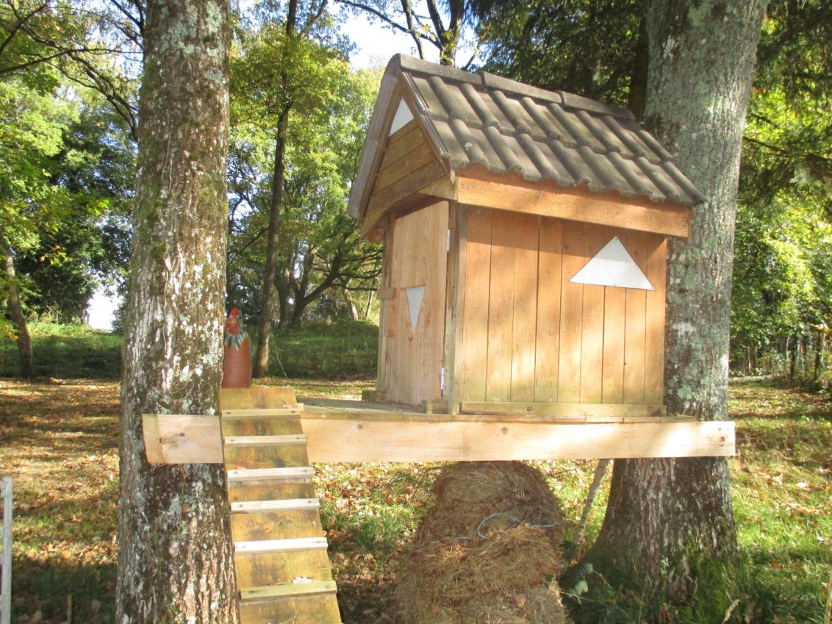 La Griotterie - Housity