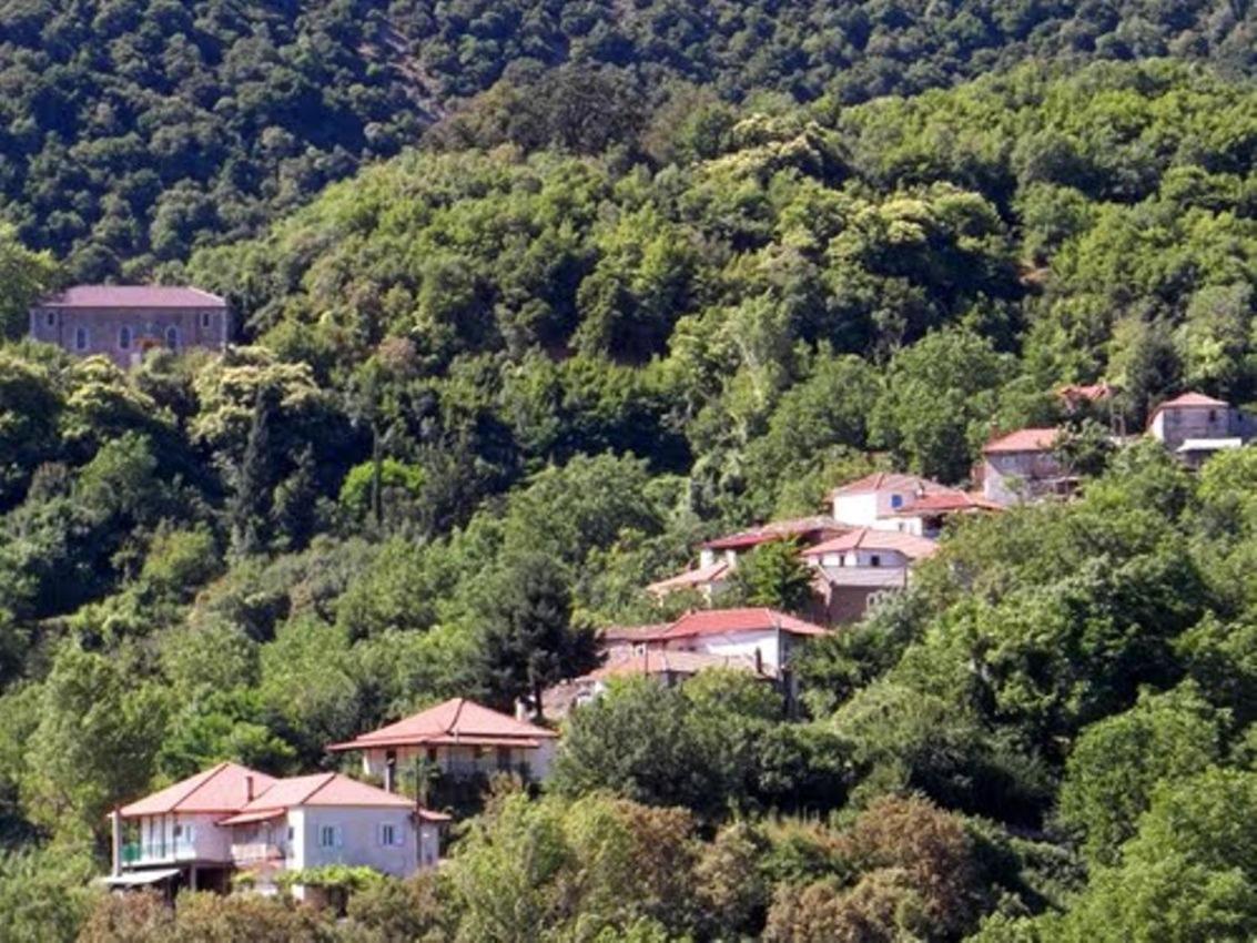 Lithos - Housity