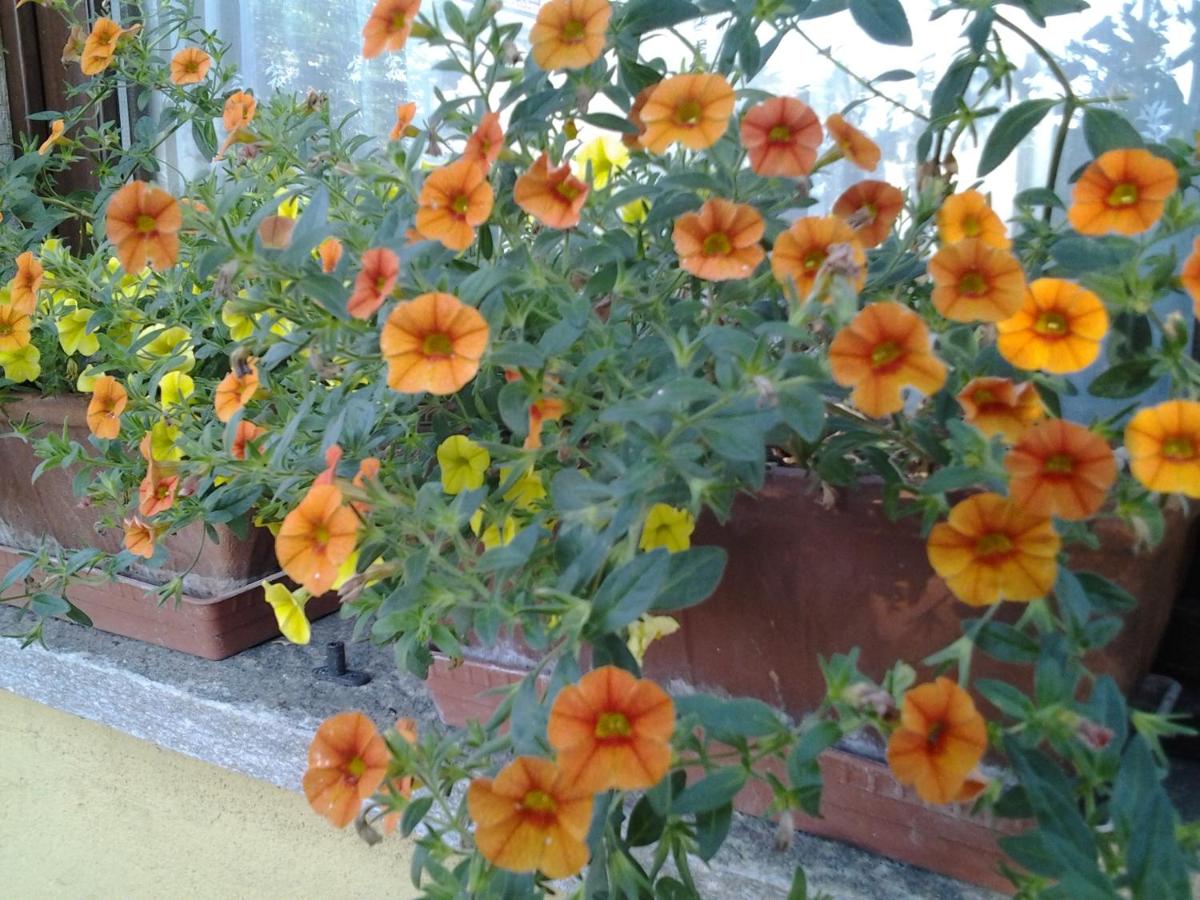 B&B Casa Dolce Casa - Housity