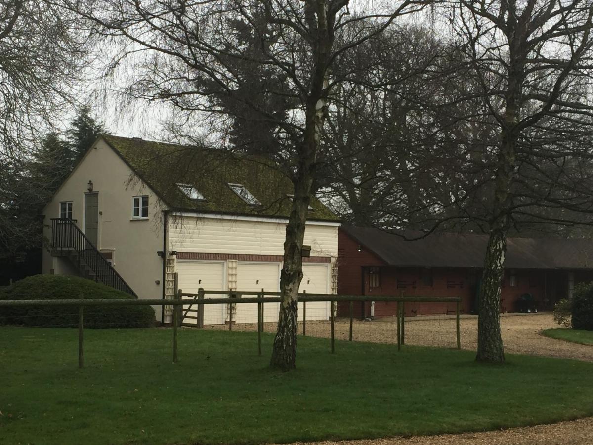 The Annexe, Upper Rooksnest - Housity