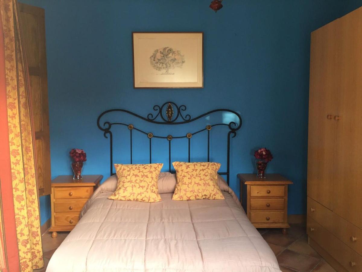 La Algazara - Housity