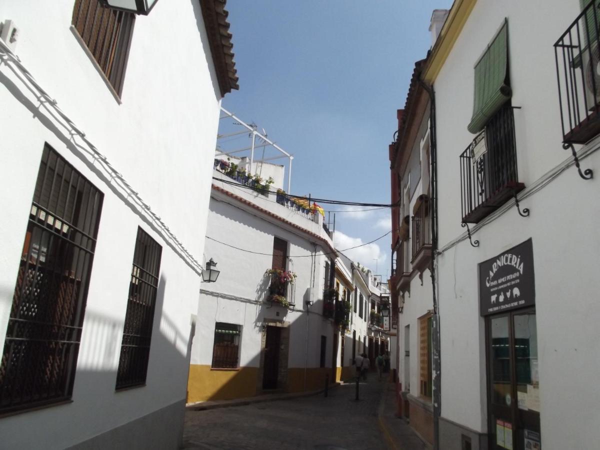 Casa Ruano - Housity