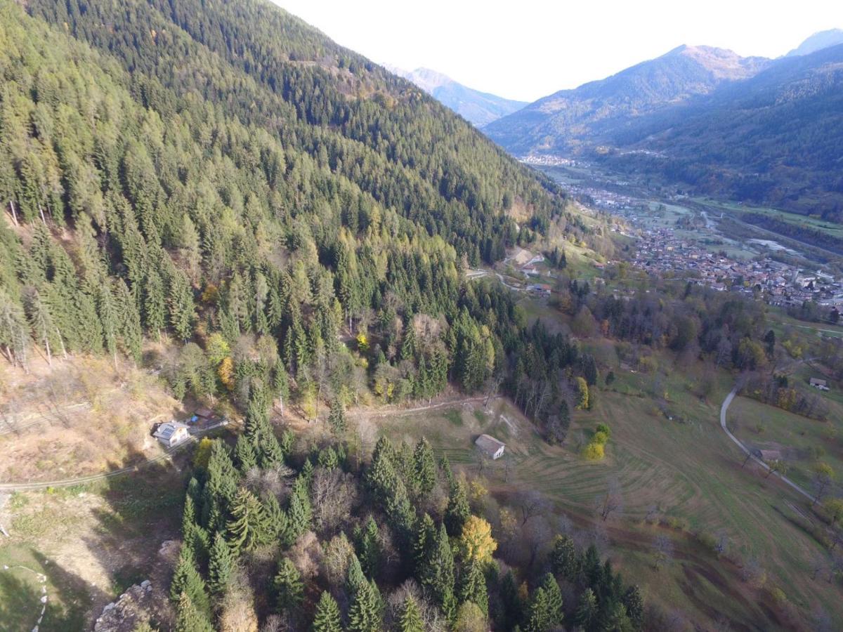 Chalet Immerso nel Verde - Housity