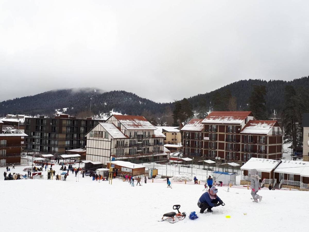 EP Apartment in Mgzavrebi Bakuriani - Housity
