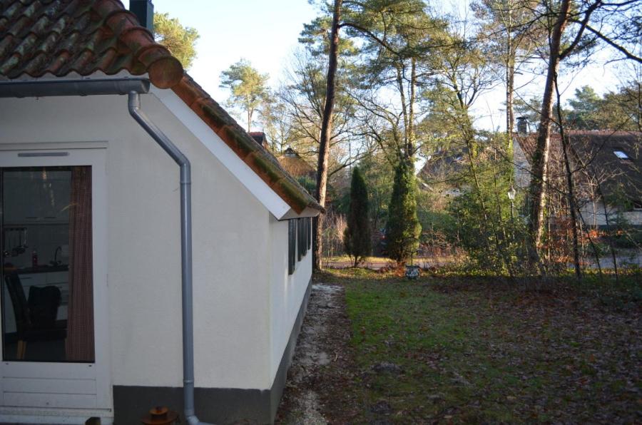 wittebergen25 - Housity