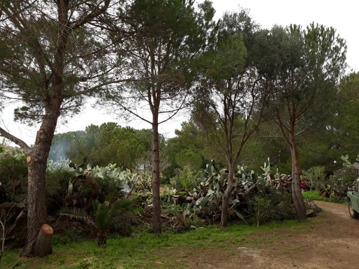 Casa Nicoletta - Housity