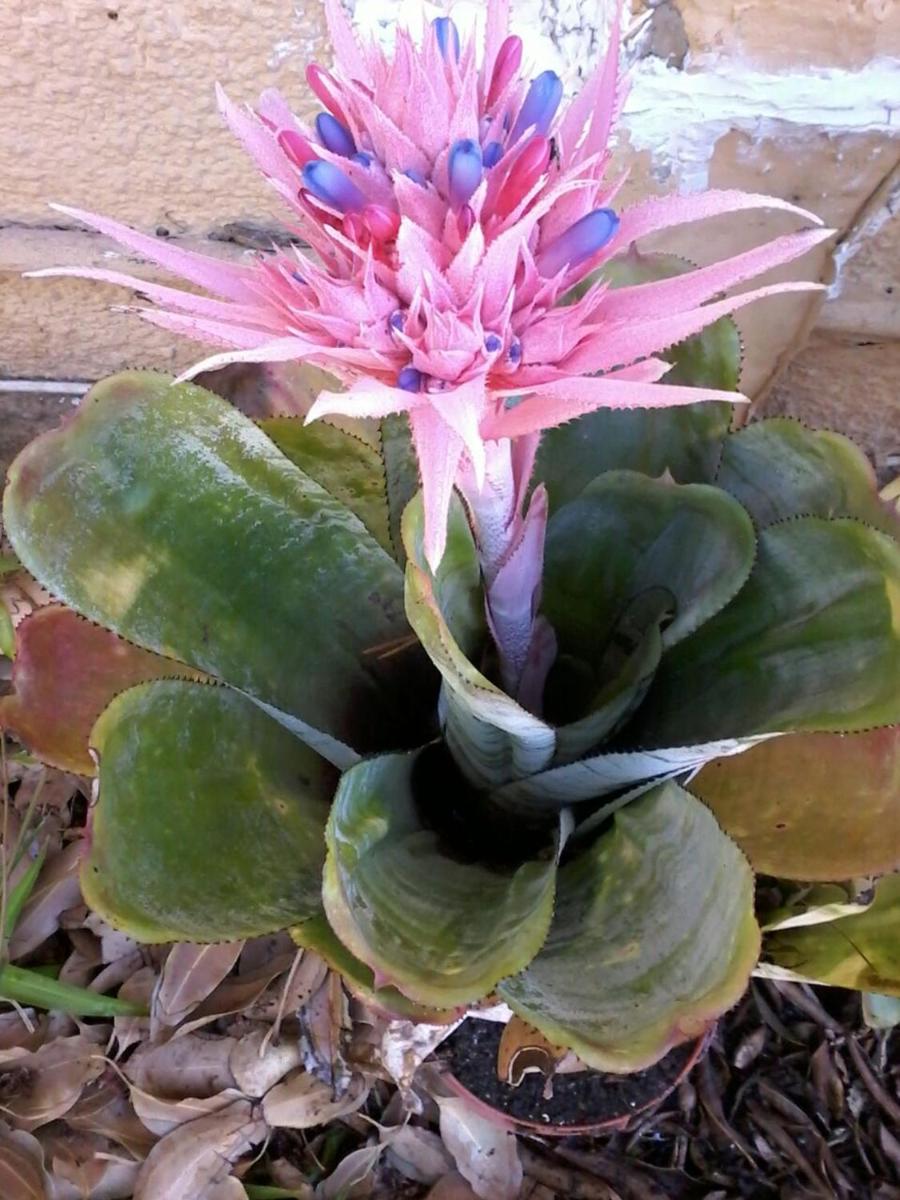 Self Catering Unit 6, Sandbaai - Housity