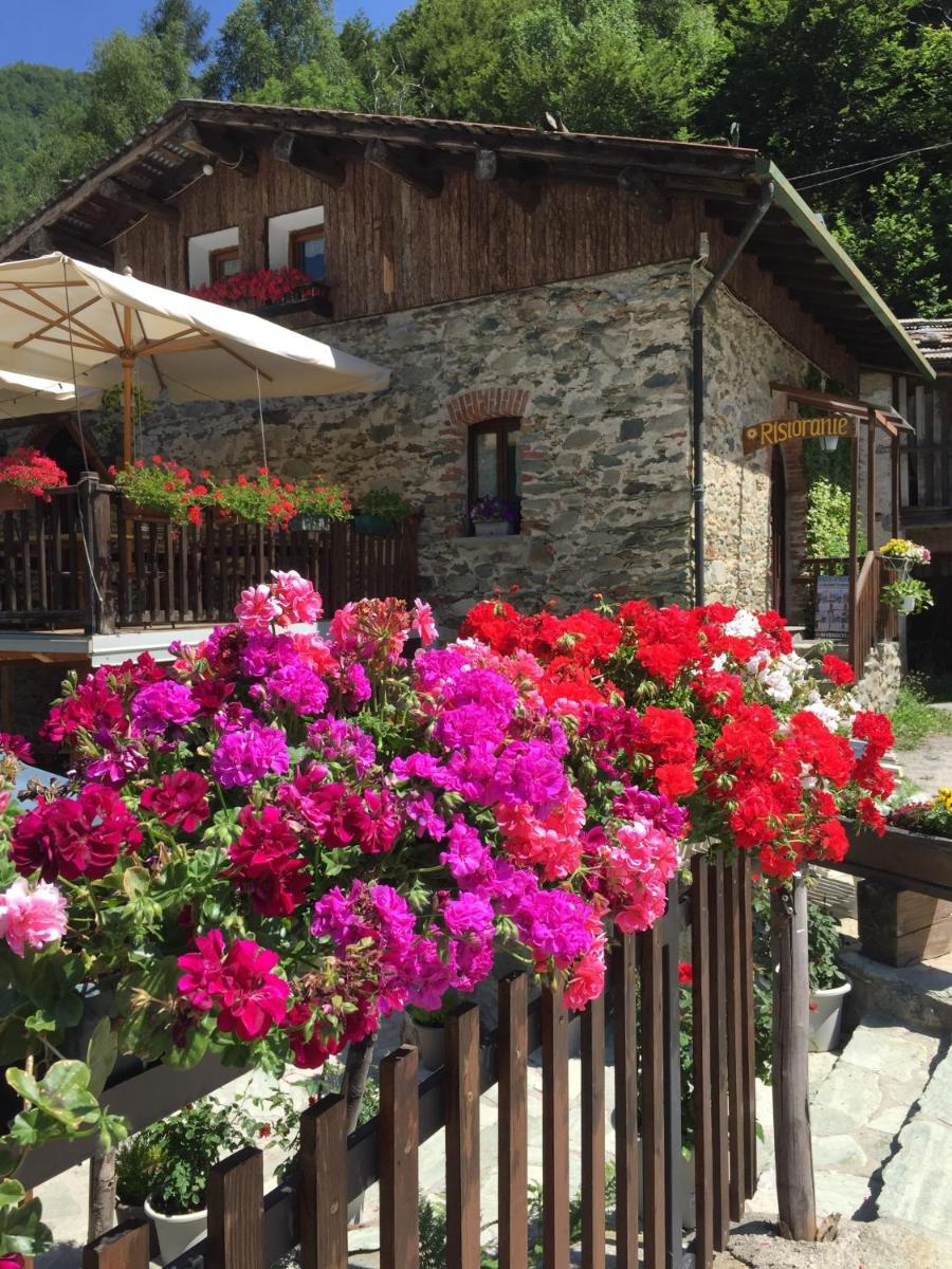 B&b Vinicola23 - Housity