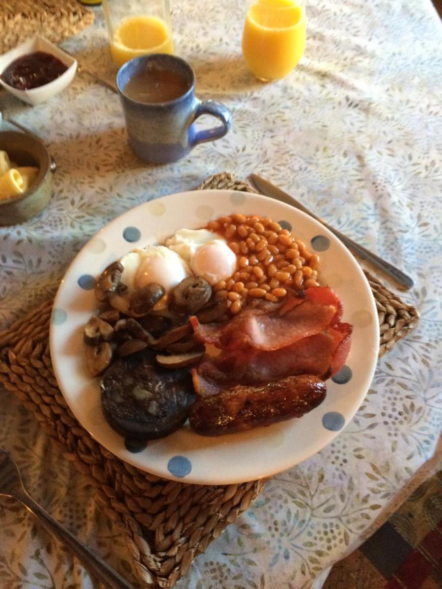 White Cottage Bed and Breakfast - Housity