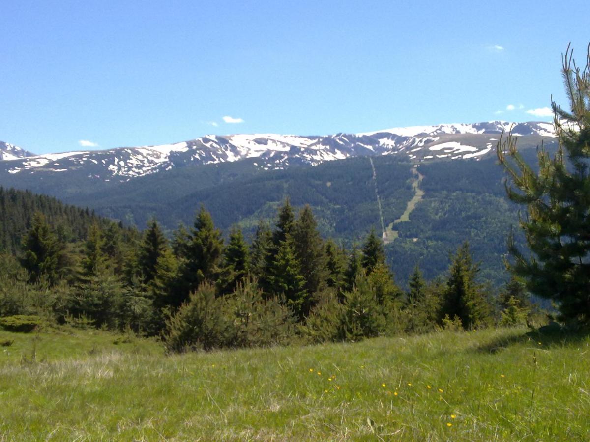 Suitetrails - Mountain Dreams Apartment