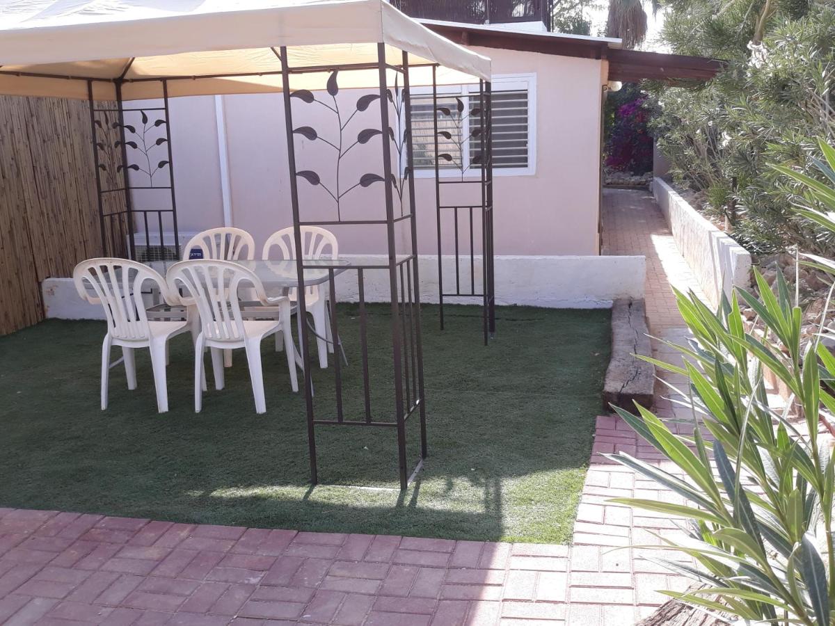 Sapir Apartment - Housity