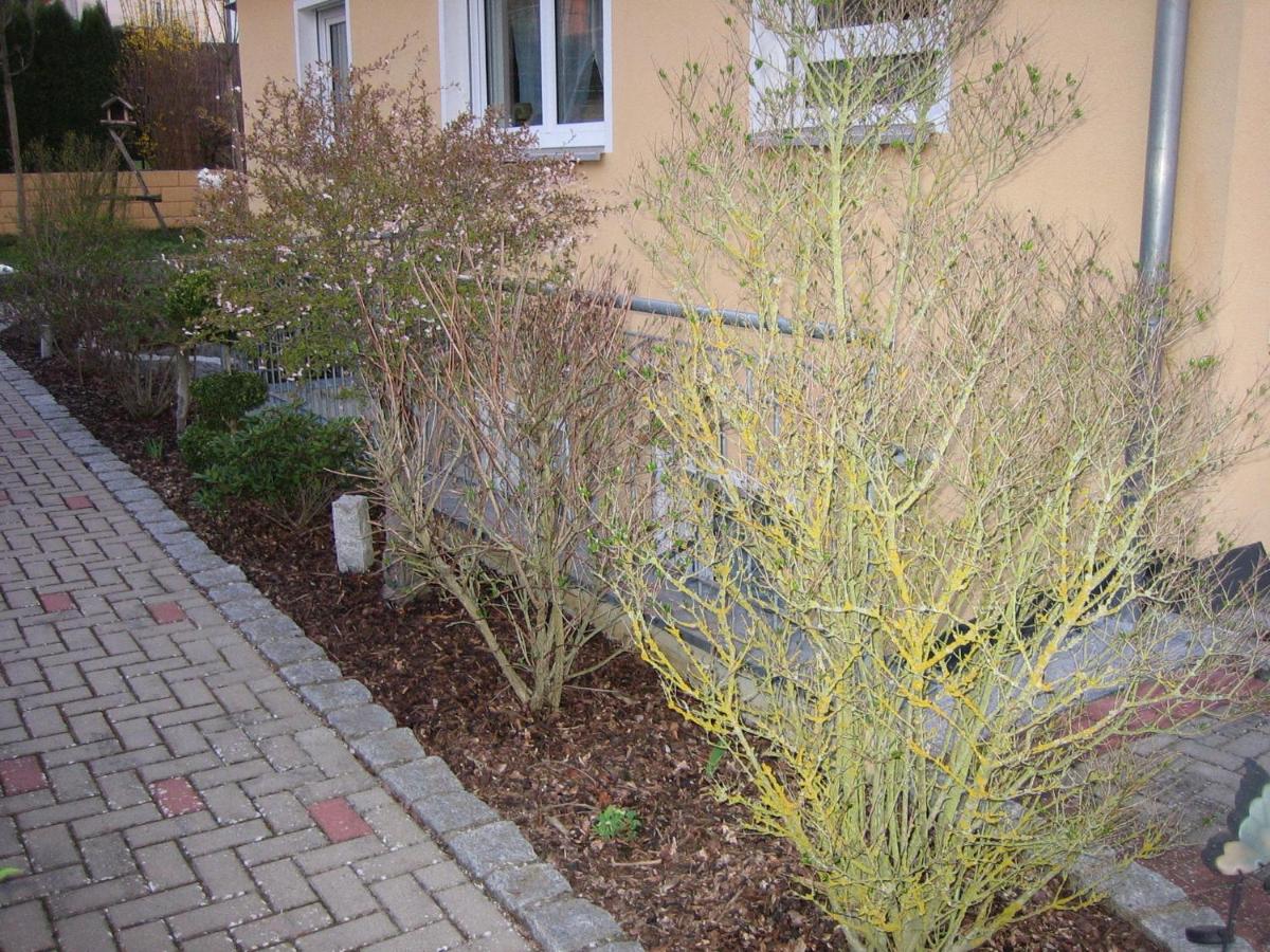 Ferienwohnung Benedikta - Housity