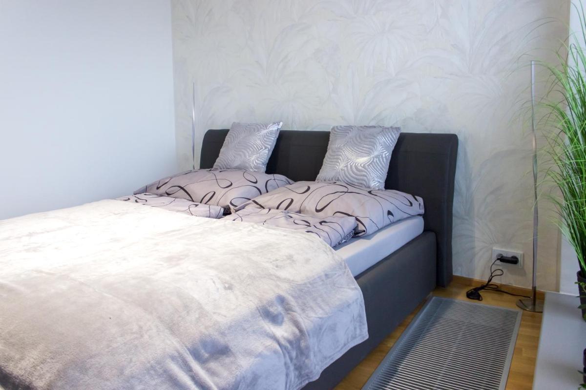 Campus Apartment - Housity