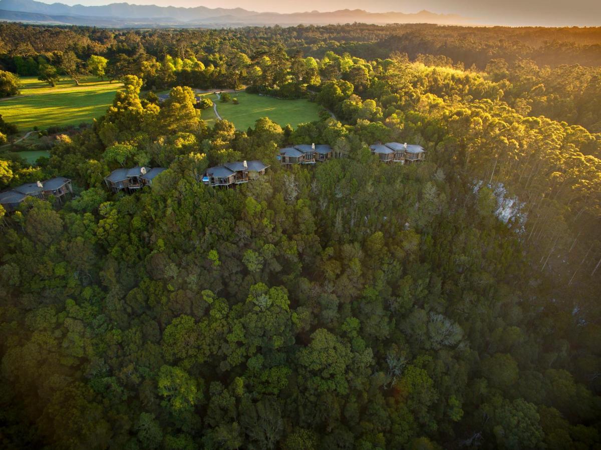 Tsala Treetop Lodge - Hizvo