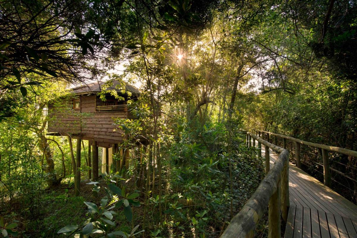 Tsala Treetop Lodge - Hizvo
