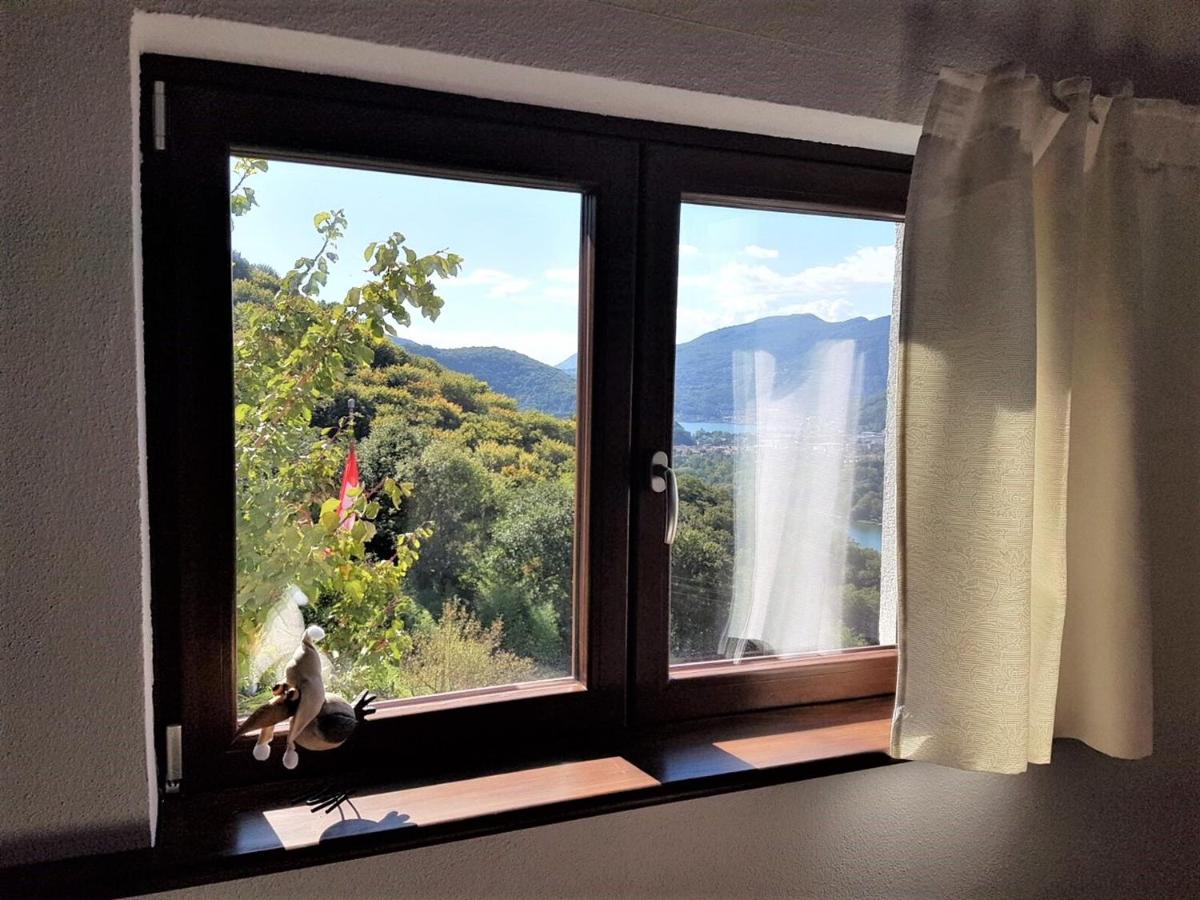 Collinetta di Montagnola - Housity