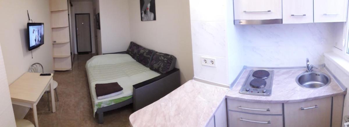 Apartment near Alekseevskaya (229) - Housity