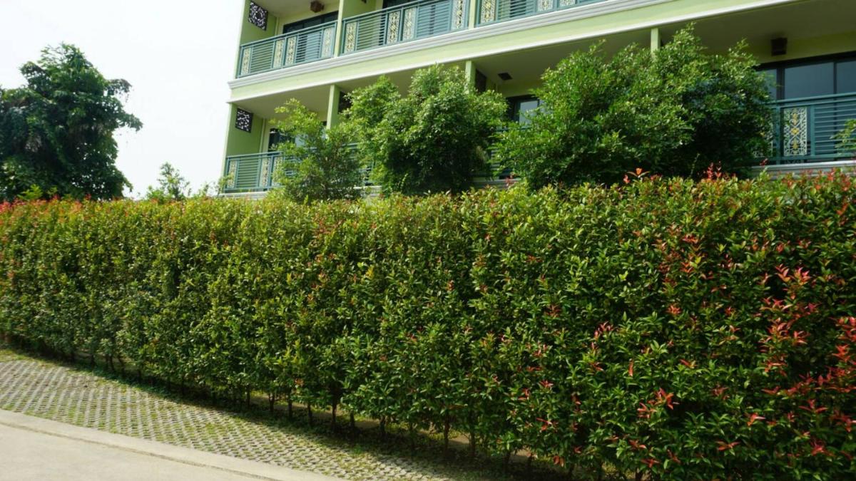 Garden Corner Resort & Hotel - Housity