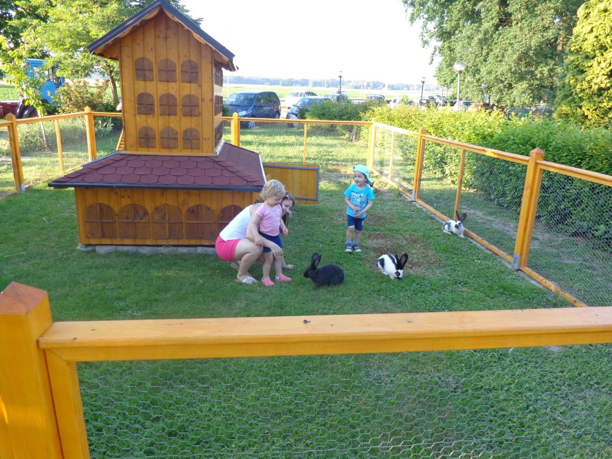 Tourist Farm Šalamun - Housity