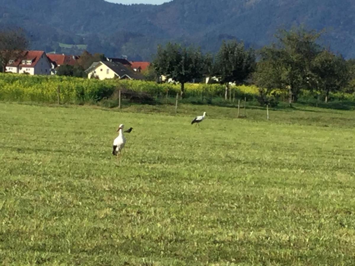 Fewo Bella Margitta Baumann - Housity