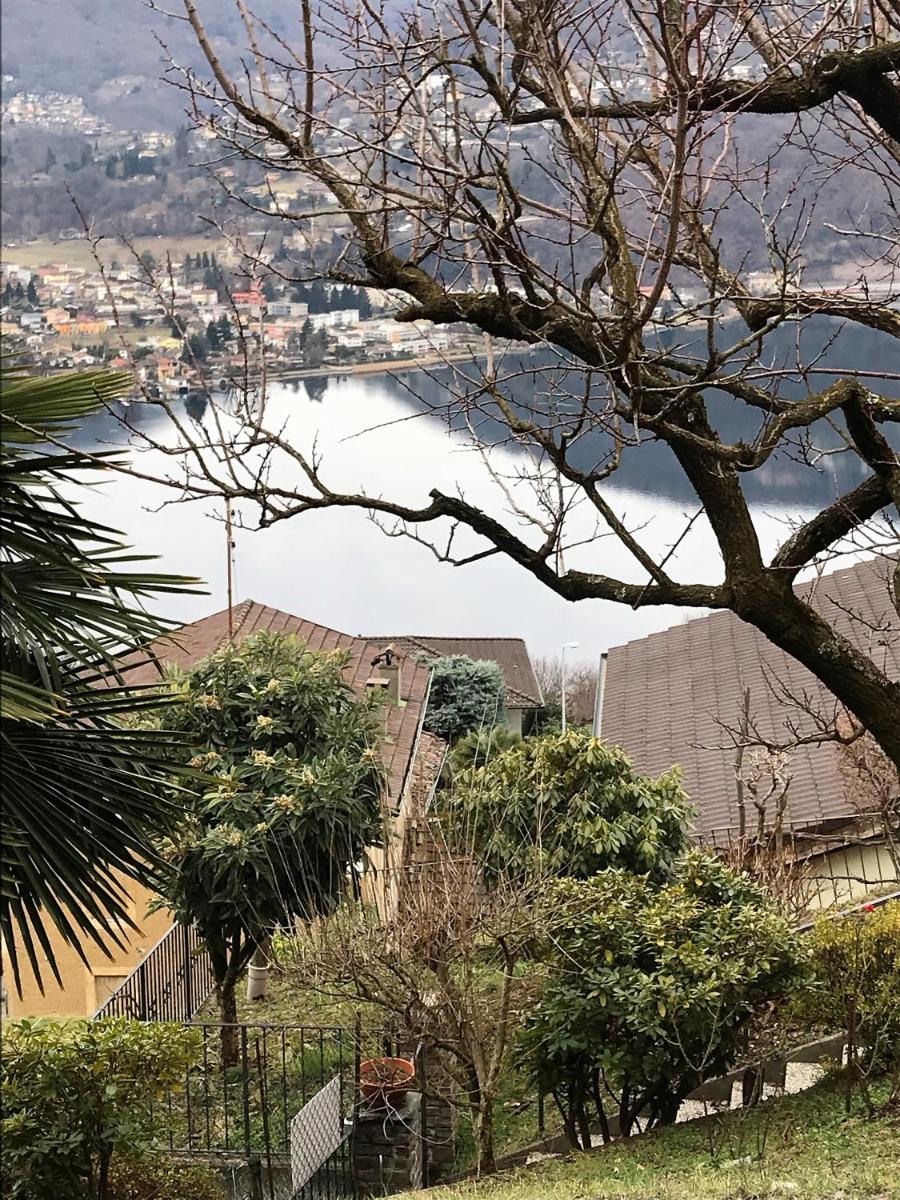 Collinetta di Montagnola - Housity