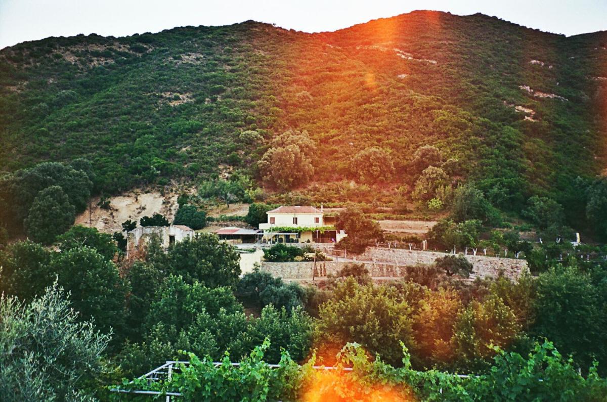Villa Kamilakis Escape To Nature - Housity