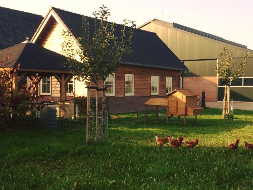 Boerengastenverblijf De Kromme Rijn - Housity