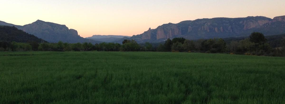Alén D'Aragón - Housity