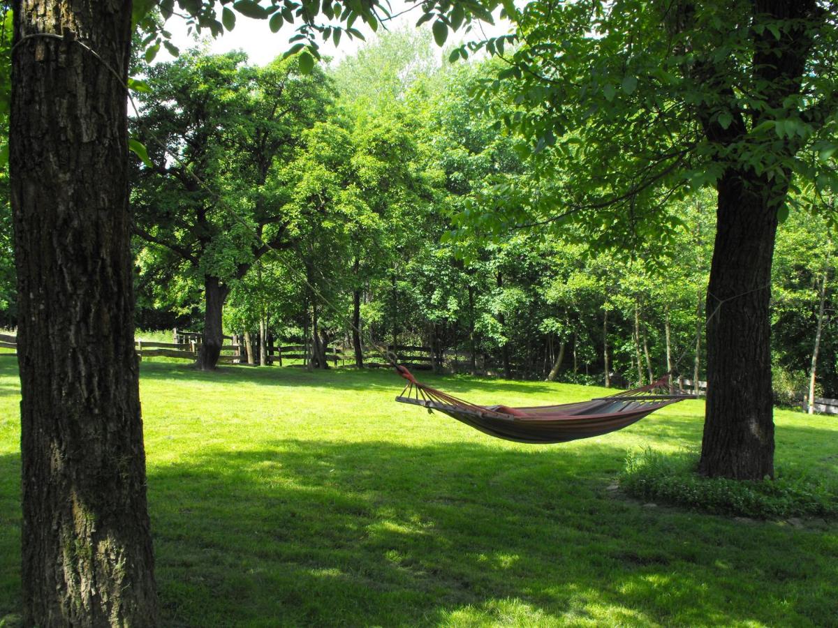 Agroturystyka Zacisze Czarna Owca - Housity