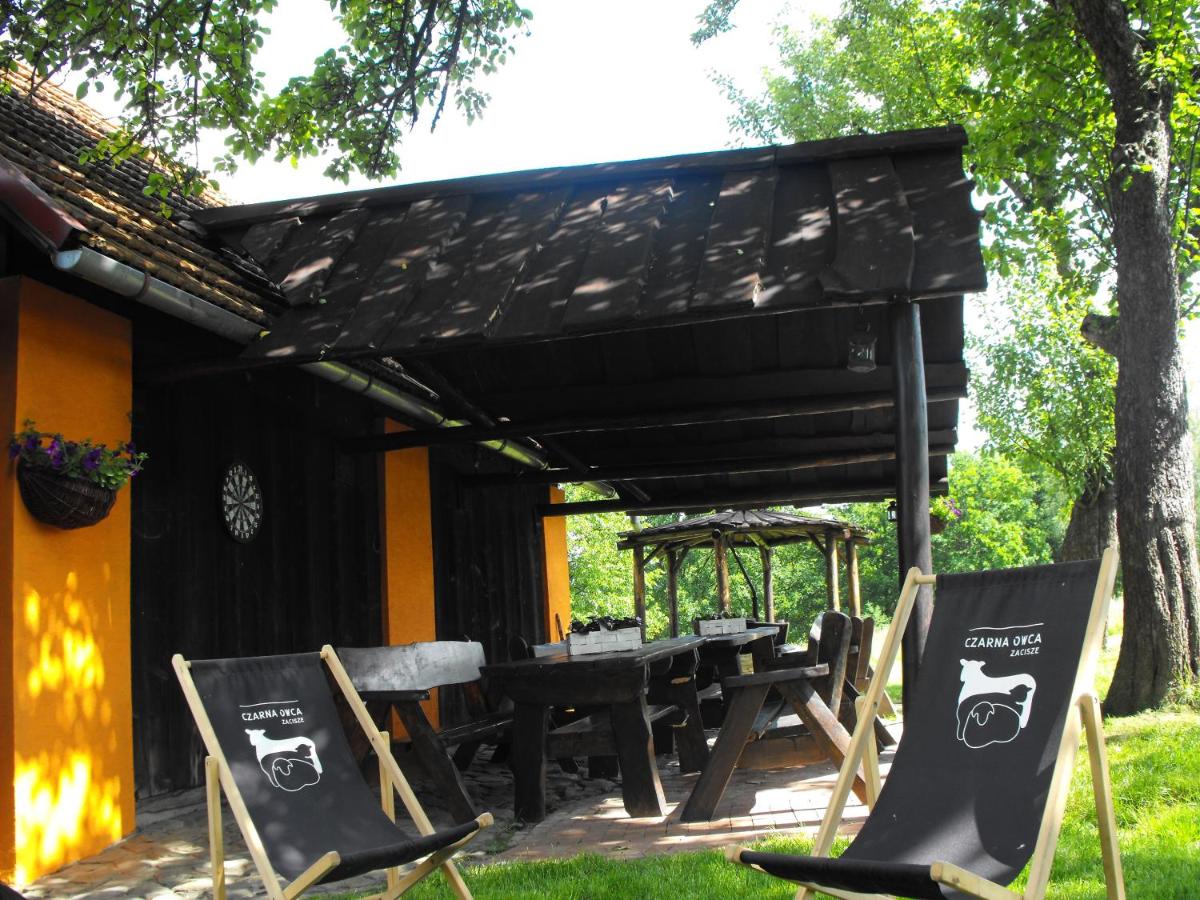 Agroturystyka Zacisze Czarna Owca - Housity