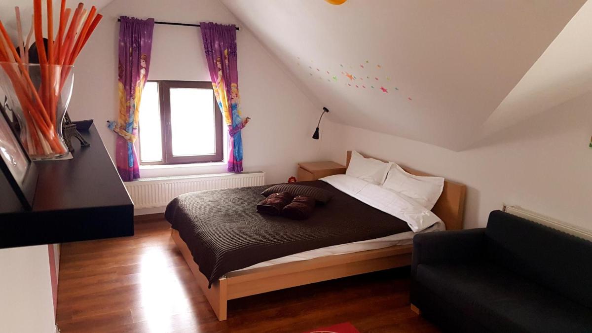 Pensiunea Casa Runcu Buzau - Housity