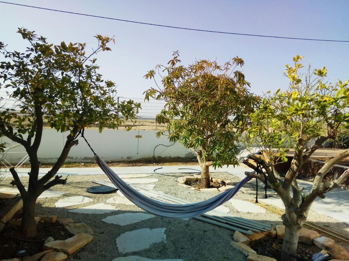 Yael Ashalim Solar Home - Housity