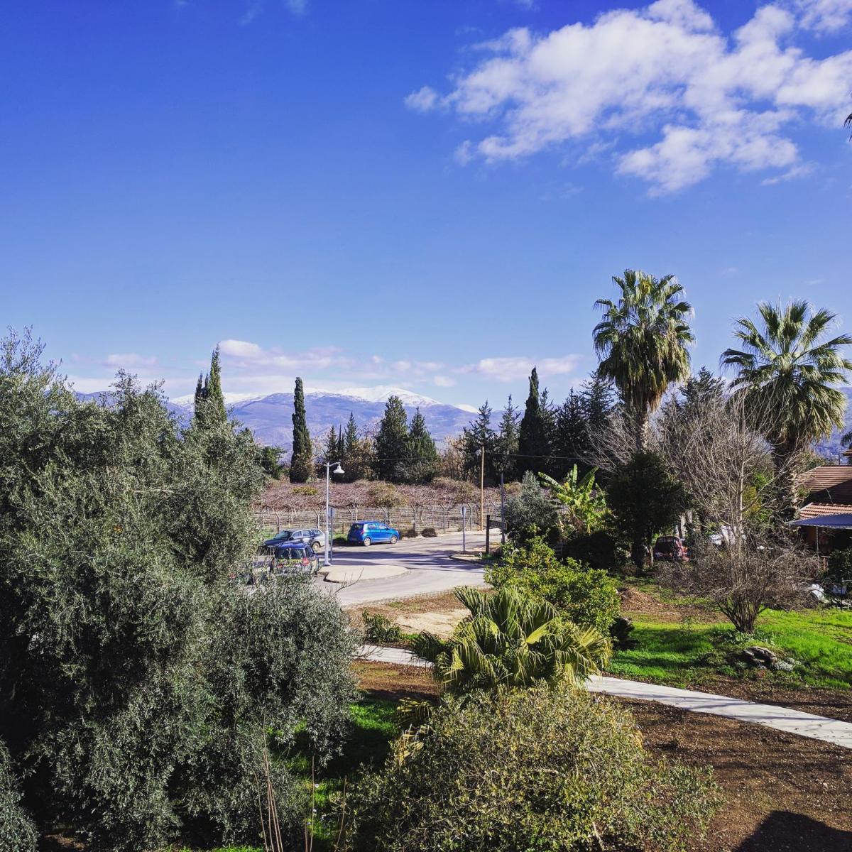 על שפת הבניאס - Housity