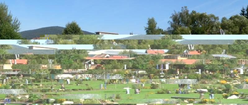 Haus Bergblick Bay. Wald - Housity