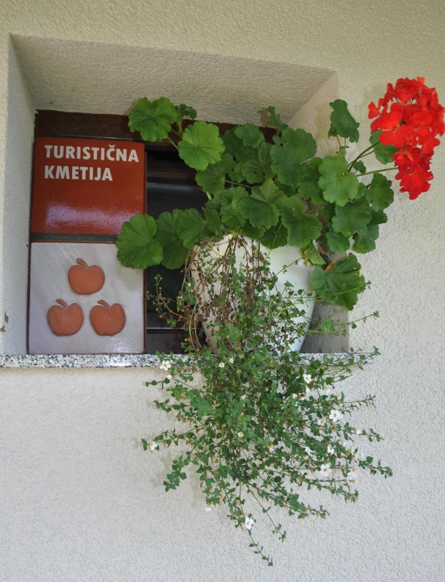 ZIDANICA KRŠTINC - Housity