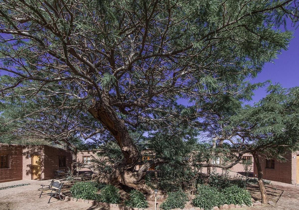 Hotel Casa Don Esteban - Hizvo