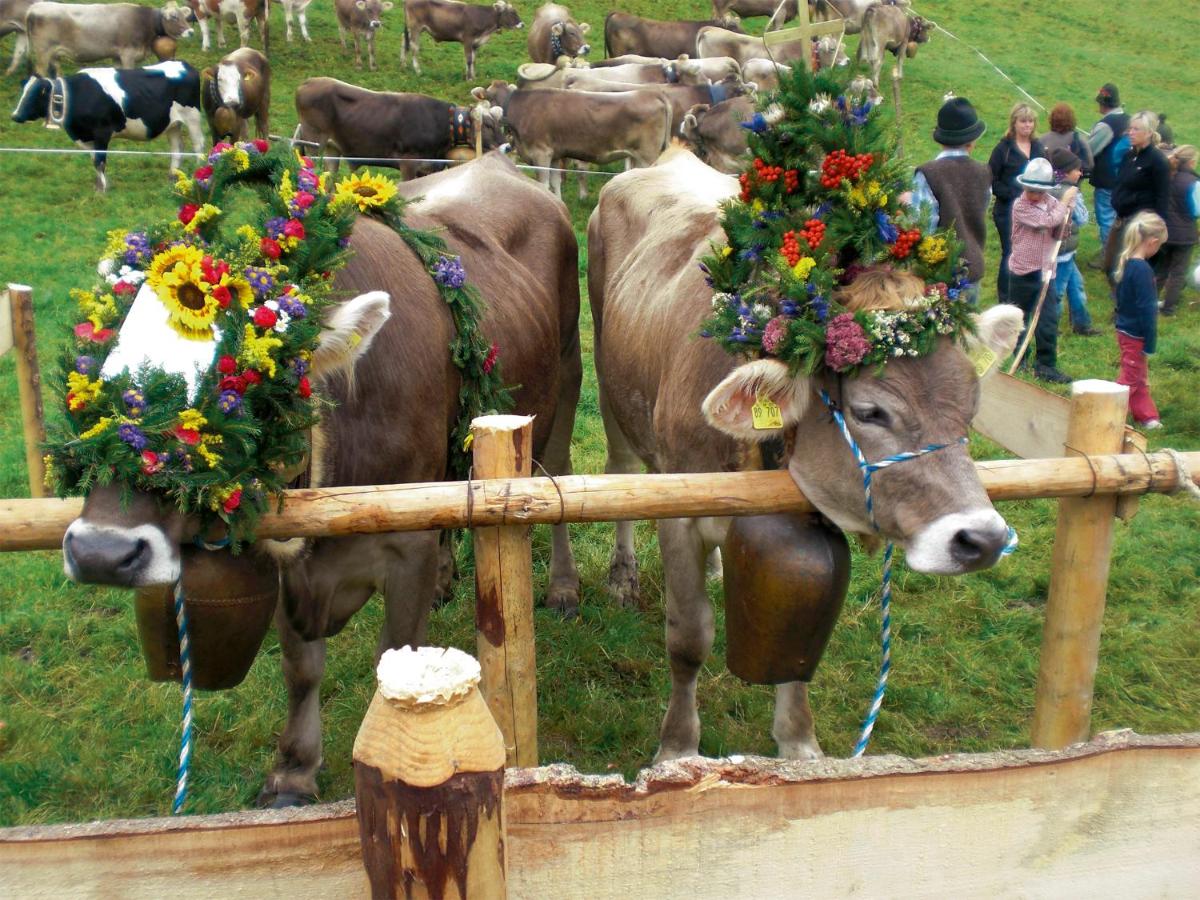 Tiere im Hotel oder in der Nähe