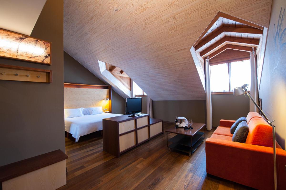 SOMMOS Hotel Aneto - Housity