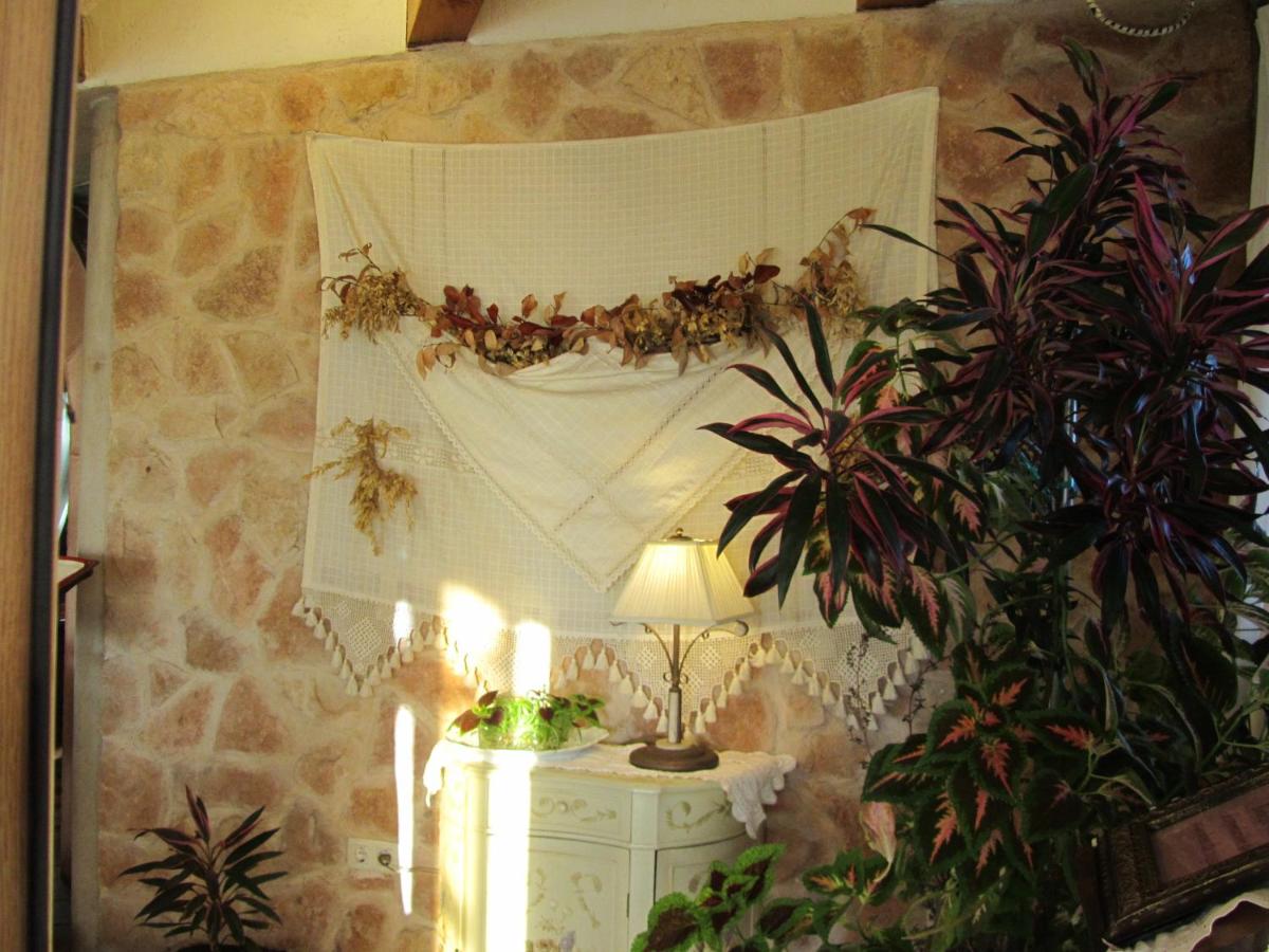 Hotel Las Casitas - Housity