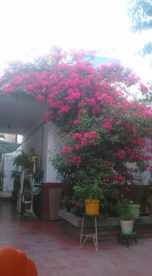 Casa Huespedes Lolita - Housity