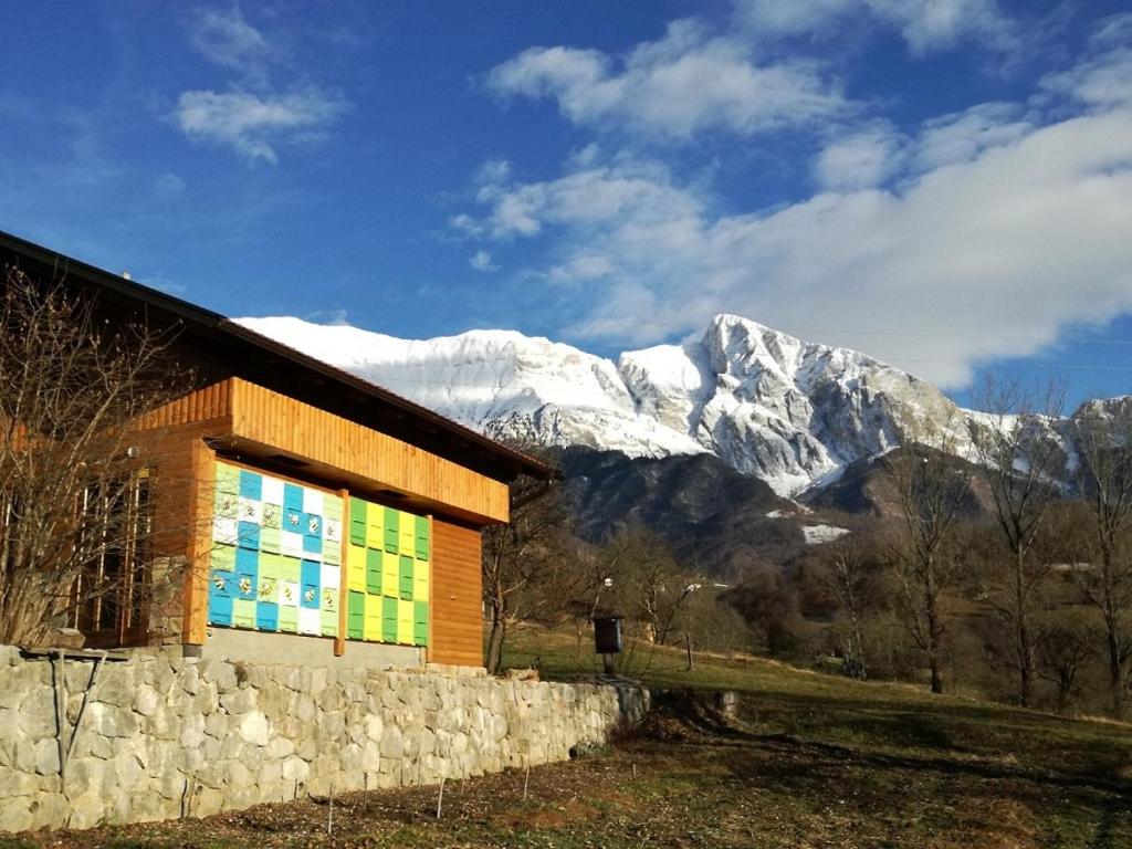Sleeping with the bees Kozjak - Housity