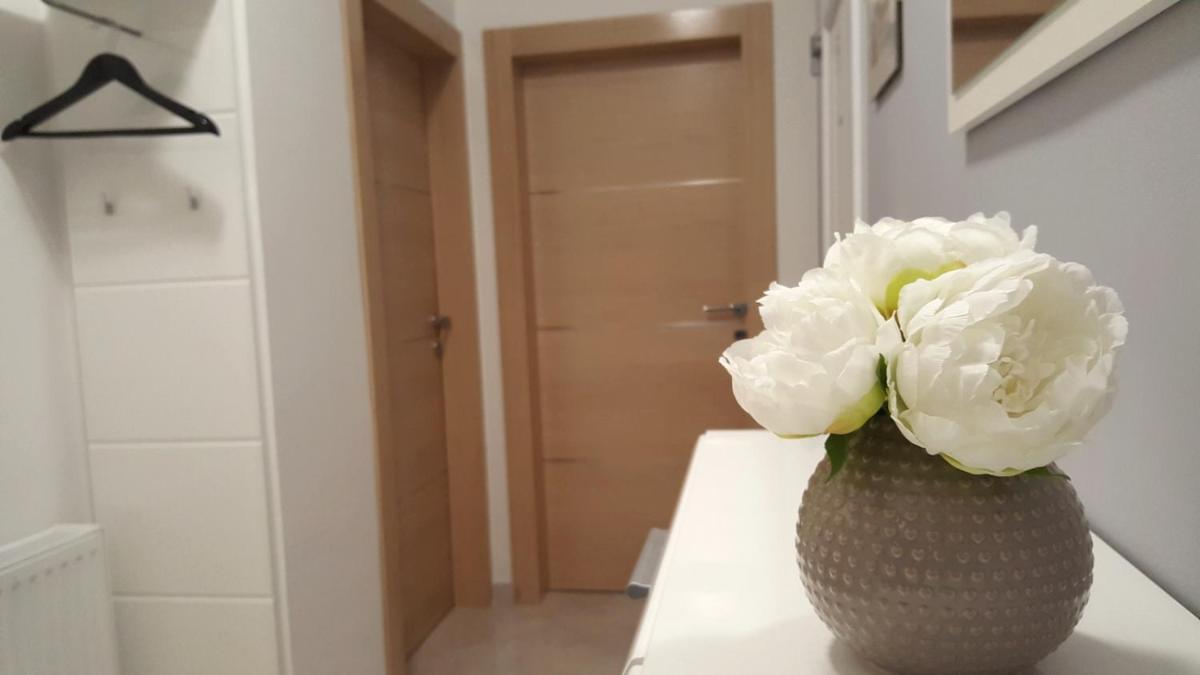 Apartman Pampas Osijek - Housity
