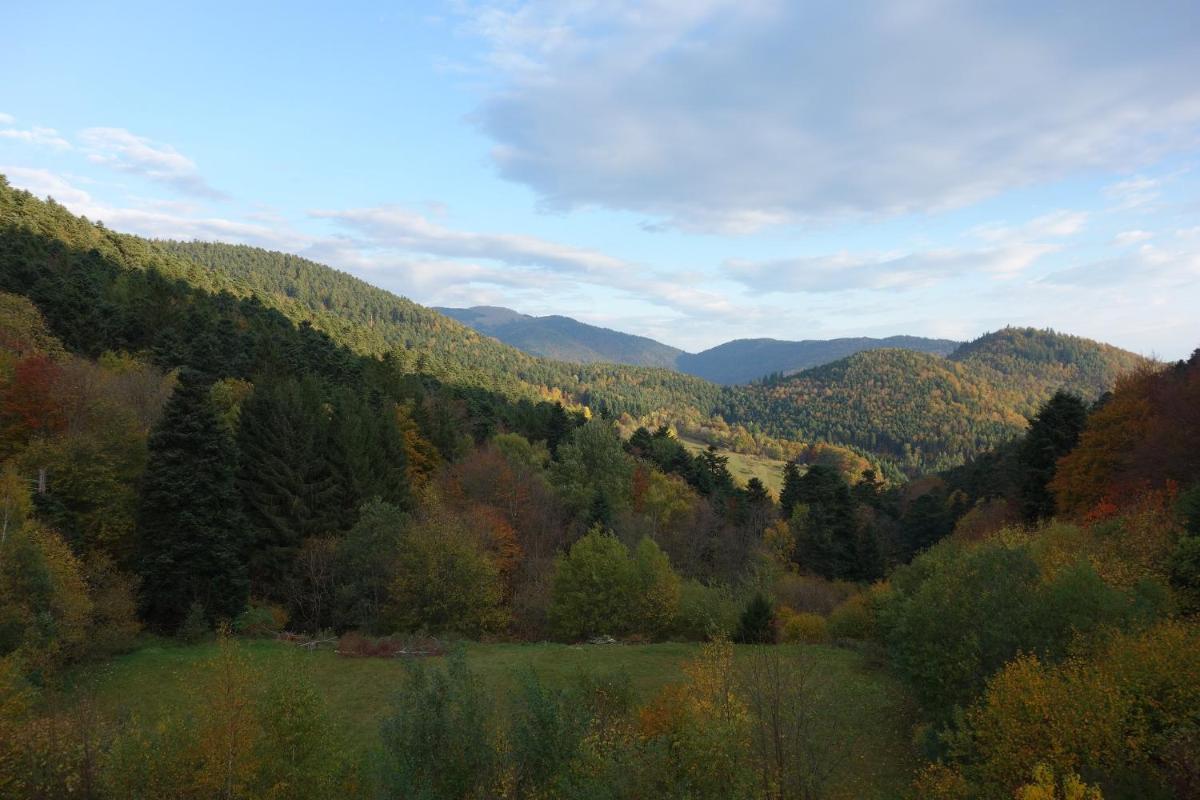 Paysage naturel près de l'hôtel
