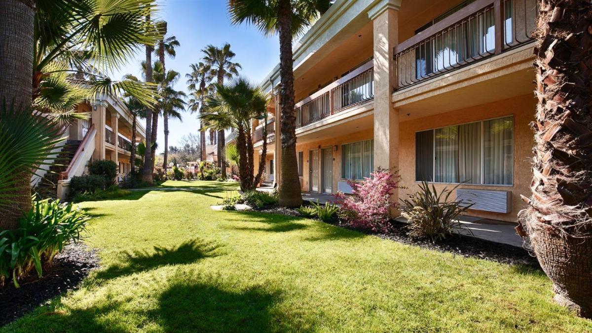 Best Western Palm Court Inn - Housity