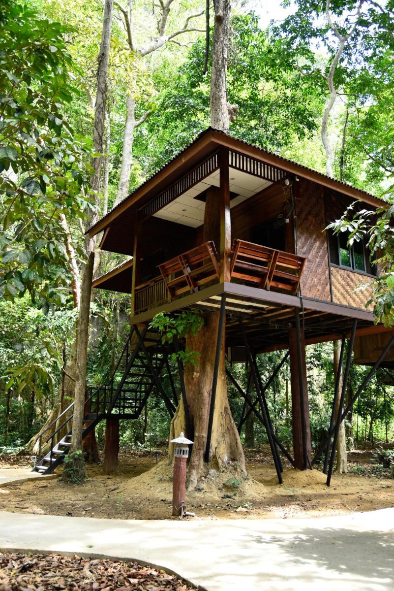Khao Sok Nature Resort - Housity
