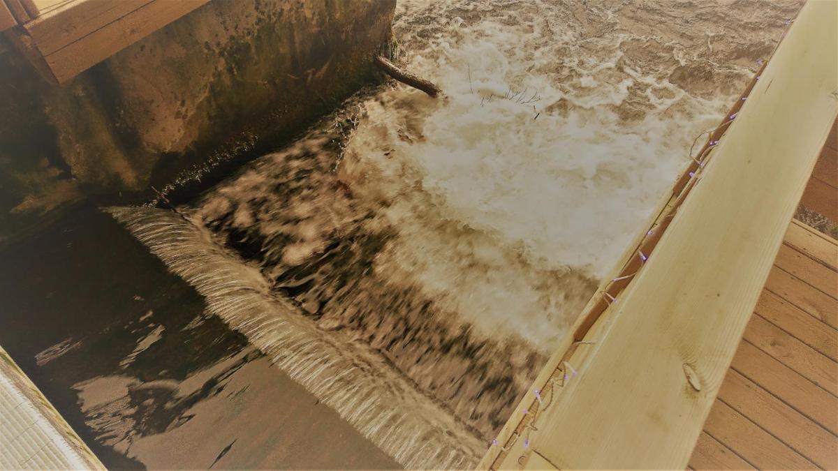 Photo de la galerie de l'établissement Le Moulin d'Oscar & Spa - Mulhouse Nord, à Baldersheim