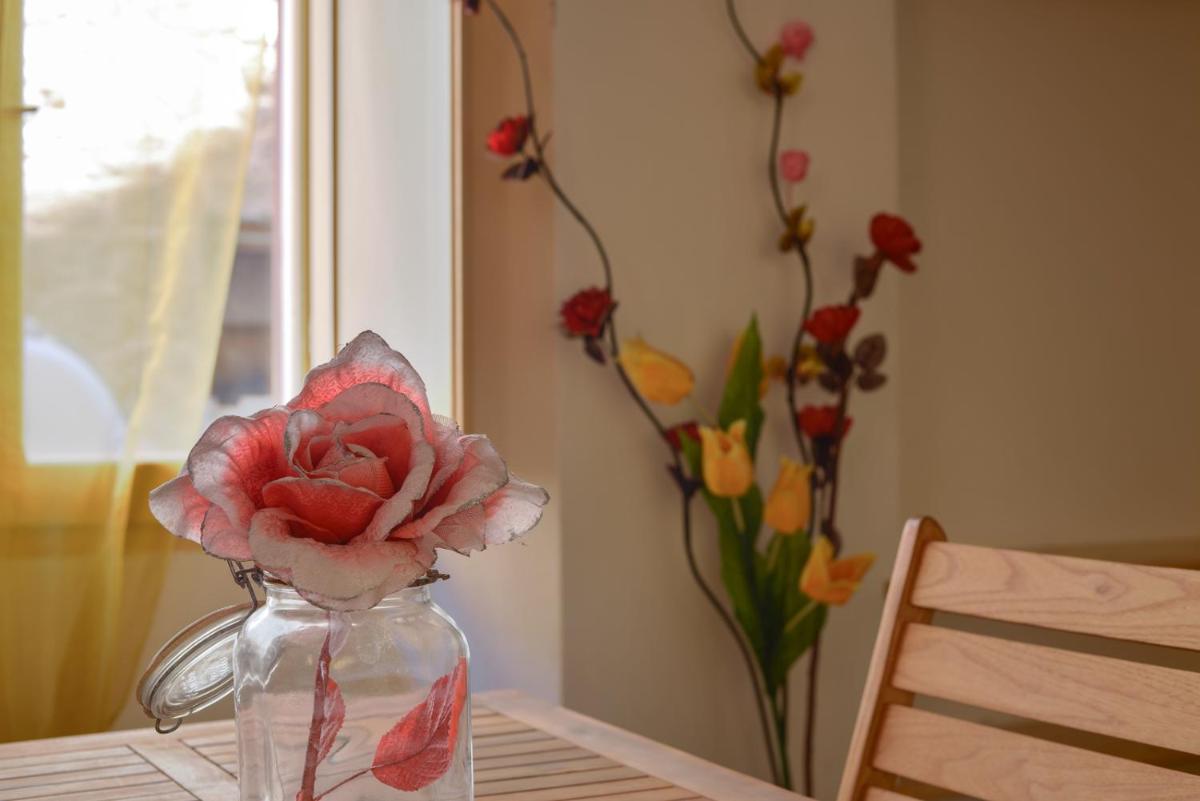 El dorado Apartment - Hizvo
