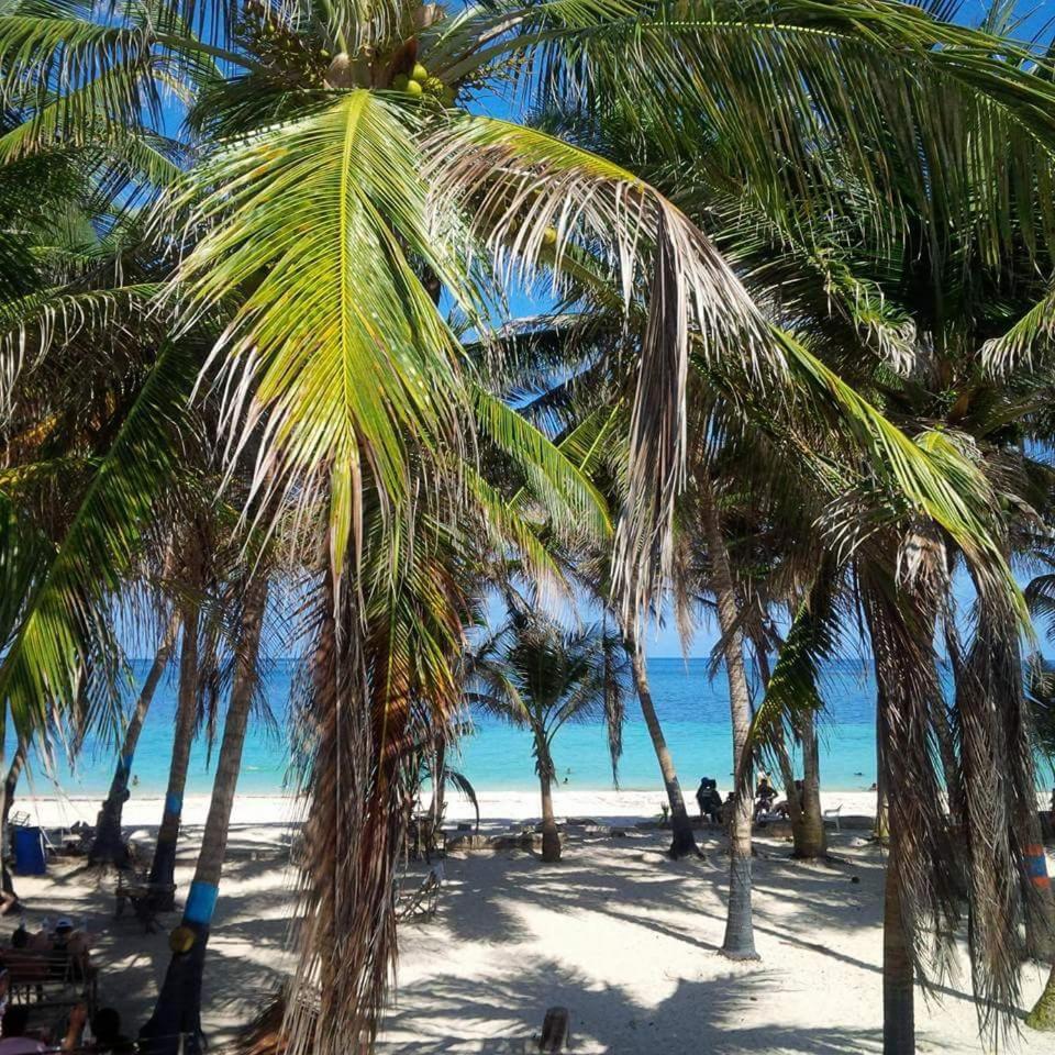 Zippy´s Sea View Apartments - Housity